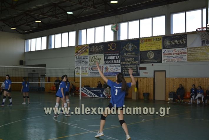 volley_1o-alexandreias-melikis2018 (23)